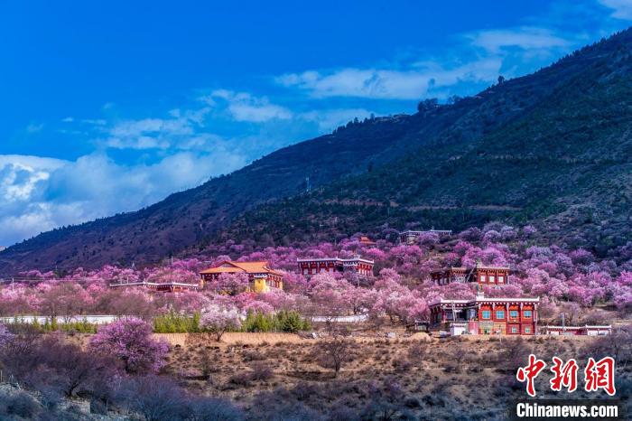 美麗的鄉(xiāng)村畫卷?！『涡秀?攝