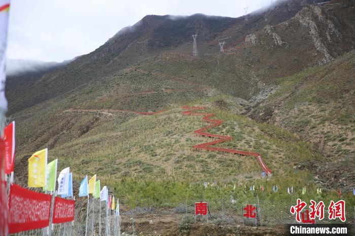 圖為拉薩南北山綠化工程拉薩曲水縣才納村5號片區(qū)?！∝暣_ 攝