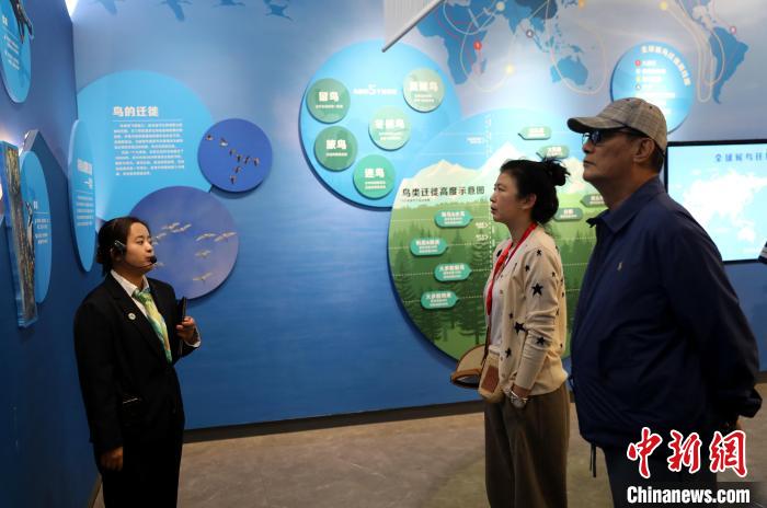 圖為臺商在祁連山國家公園生態(tài)科普館內(nèi)聆聽講解。　薛蒂 攝