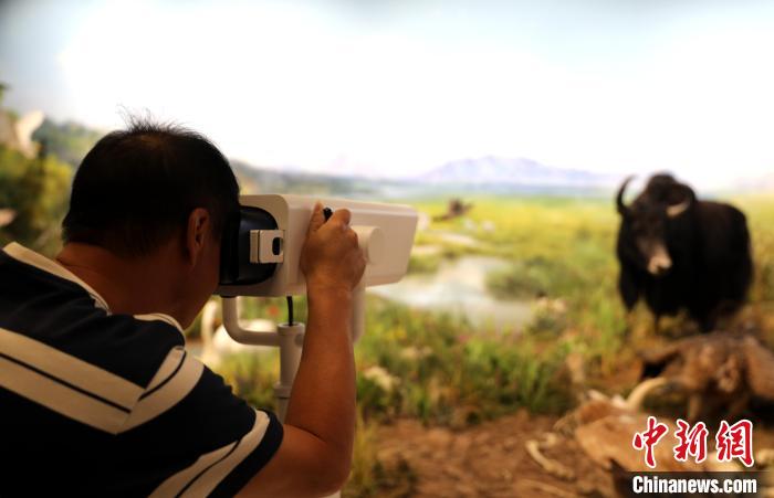 圖為臺商觀看祁連山國家公園生態(tài)科普館內(nèi)生態(tài)場景?！⊙Φ?攝
