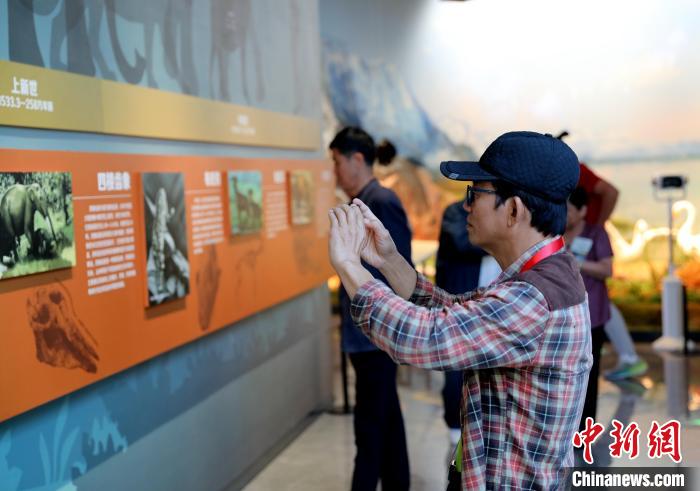 圖為臺商在祁連山國家公園生態(tài)科普館觀看墻面藝術(shù)圖文?！⊙Φ?攝