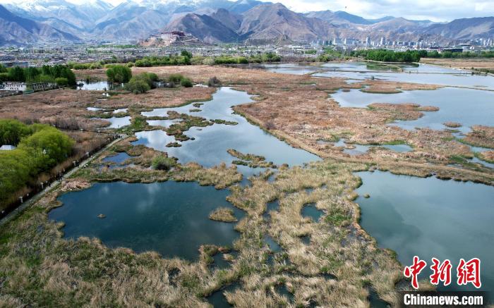 圖為拉薩拉魯濕地。(無(wú)人機(jī)照片) 李林 攝