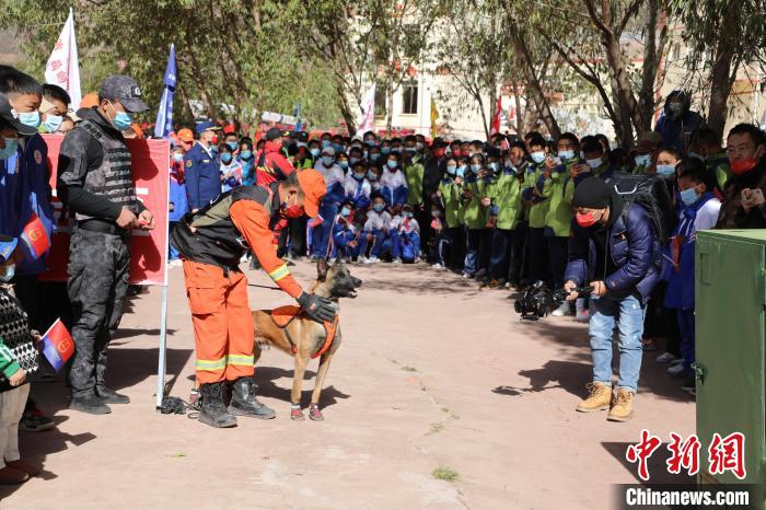 圖為搜救犬服從和箱體搜救演練?！≮w琳 攝