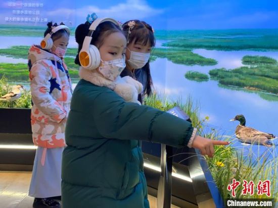 圖為學(xué)生在西寧市第一中學(xué)濕地科普宣教館內(nèi)參觀?！±罱瓕?攝