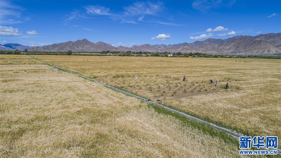 （新華全媒頭條·走向我們的小康生活·圖文互動(dòng)）（11）扎西德勒，我們的新家園——西藏易地扶貧搬遷搬出幸福美好新生活