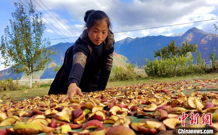 圖為通麥村村民巴桑拉姆晾曬切片蘋果?！∝暽＠?攝
