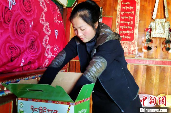 圖為通麥村村民巴桑拉姆把精心挑選的蘋果裝箱?！∝暽＠?攝