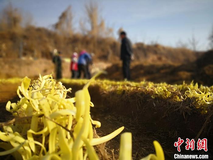 蘭州脫貧攻堅(jiān)“交答卷”:農(nóng)村居民人均可支配收入翻番