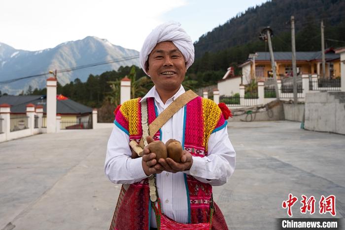 1月29日，京都村委會(huì)主任阿胖正在展示該村種植的獼猴桃。<a target='_blank' ><p  align=