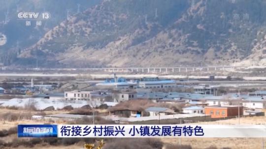 種蘑菇、養(yǎng)駱駝...。。特色產(chǎn)業(yè)助力鄉(xiāng)村振興走新路