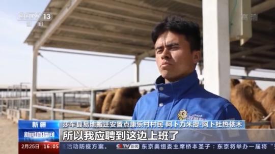 種蘑菇、養(yǎng)駱駝...。。特色產業(yè)助力鄉(xiāng)村振興走新路