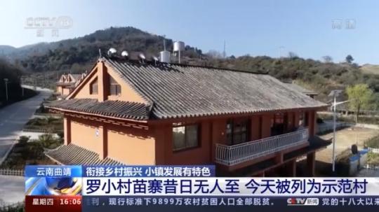 種蘑菇、養(yǎng)駱駝...。。特色產業(yè)助力鄉(xiāng)村振興走新路