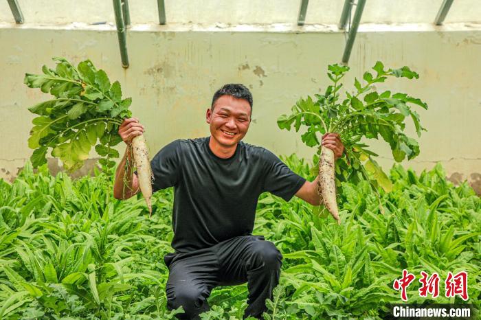 西藏阿里門士邊境派出所民警兼職大棚種植、豐富牧民餐桌