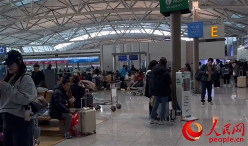 11月29日，繁忙的仁川機場。人民網(wǎng) 李帆攝