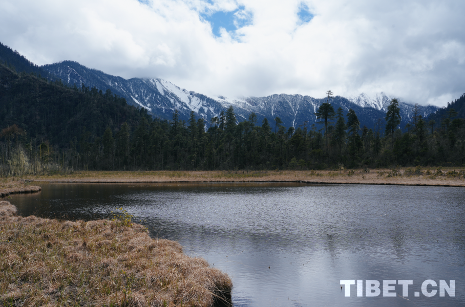 7.png