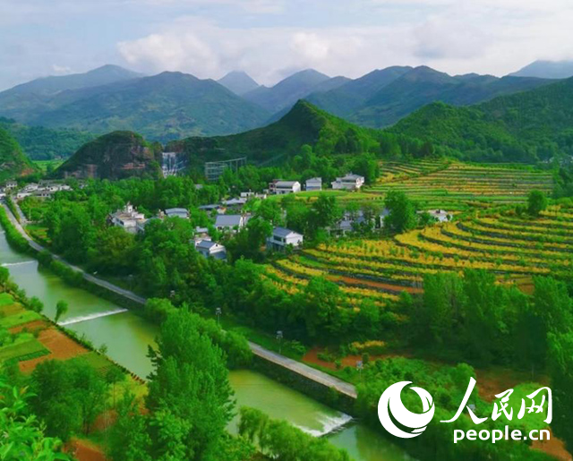 陜西商洛漫川關(guān)鎮(zhèn)民宿群。人民網(wǎng) 王麗攝