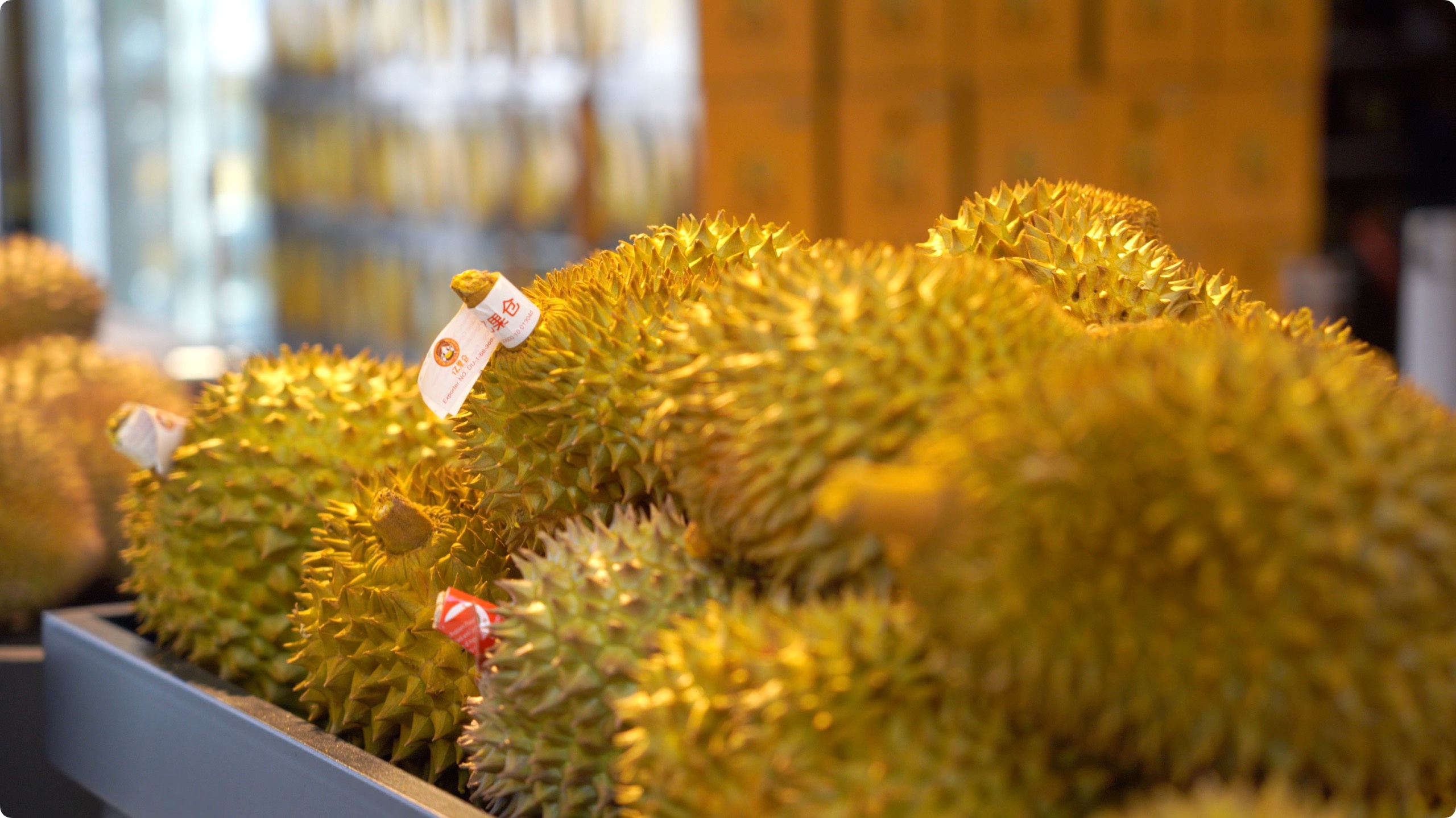 5月初，人民網(wǎng)記者申佳平攝