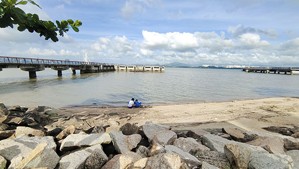 深圳紅樹林灘涂，留給了孩子們親近自然的空間。人民網(wǎng)記者 李彤?dāng)z