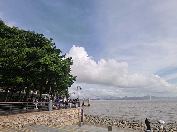 紅樹林灘涂沿線一角。人民網(wǎng)記者 張素玲攝