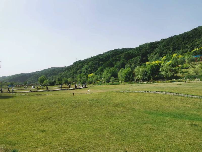 【高質量發(fā)展調(diào)研行】延安：“紅”與“綠”交相輝映