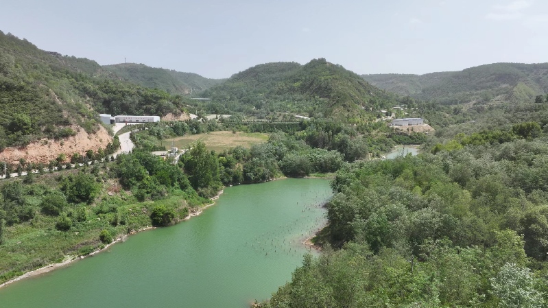 【高質量發(fā)展調(diào)研行】延安：“紅”與“綠”交相輝映