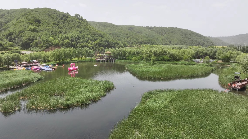 【高質量發(fā)展調(diào)研行】延安：“紅”與“綠”交相輝映