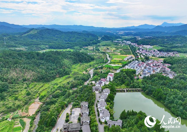 資溪縣森林資源豐富，森林覆蓋率達(dá)87.7%，有林地資源168萬畝。人民網(wǎng) 朱海鵬攝