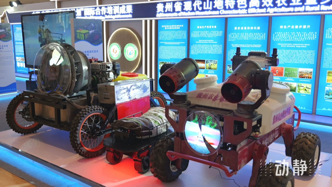 展示成果分享經(jīng)驗(yàn)，中國(guó)—東盟教育交流周深化合作共創(chuàng)未來(lái)！