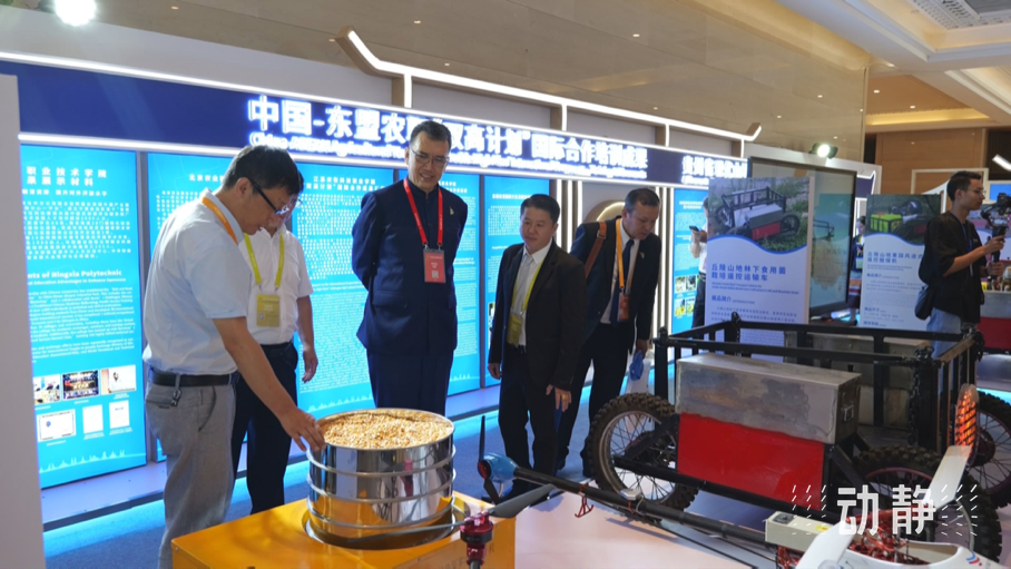 展示成果分享經(jīng)驗(yàn)，中國(guó)—東盟教育交流周深化合作共創(chuàng)未來(lái)！