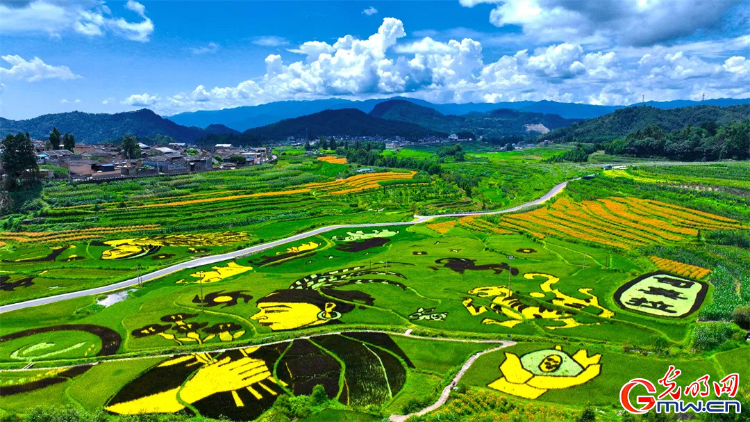 云南清水：延伸公共法律服務(wù)觸角，讓普法與民族團(tuán)結(jié)進(jìn)步互促共融