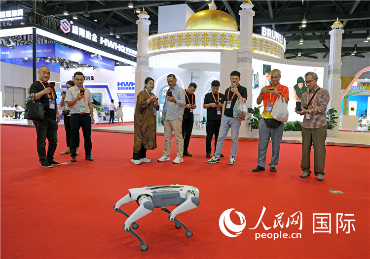 東博會上，觀眾正在參觀一只機器狗。綠色能源、新能源汽車、綠色農(nóng)產(chǎn)品等成為本屆東博會觀眾關(guān)注的焦點。人民網(wǎng)記者 趙益普攝