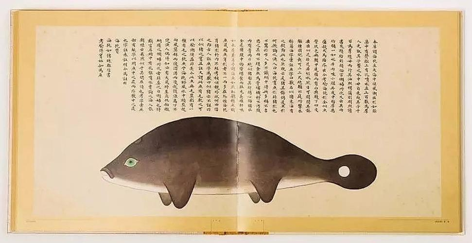 文化中國行 長江之歌丨微笑的江豚，從四千年前“游”來