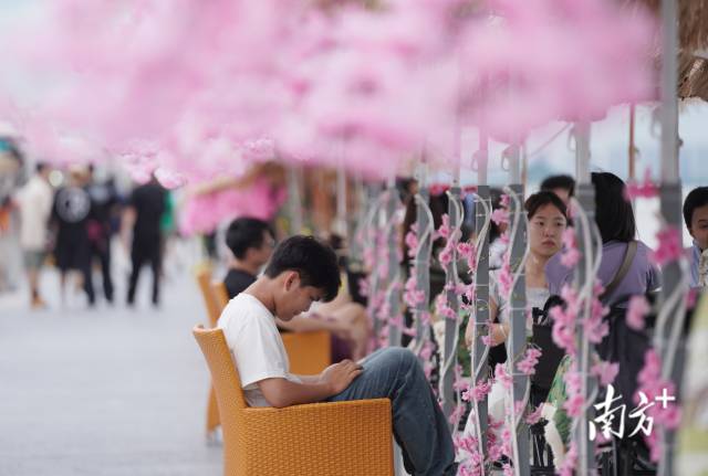 崖口村東堤靠近海岸，成為了熱門打卡休閑地點。