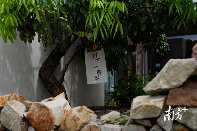 崖口村內(nèi)的文藝民宿。