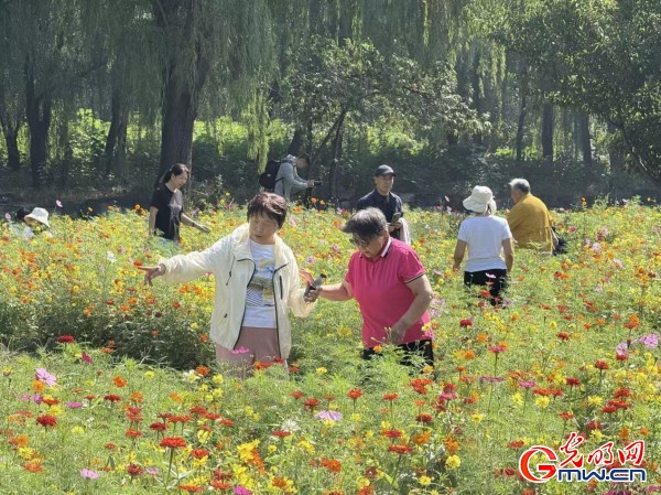 何以中國(guó)·理想都城｜數(shù)字化技術(shù)再現(xiàn)圓明園昔日輝煌盛景