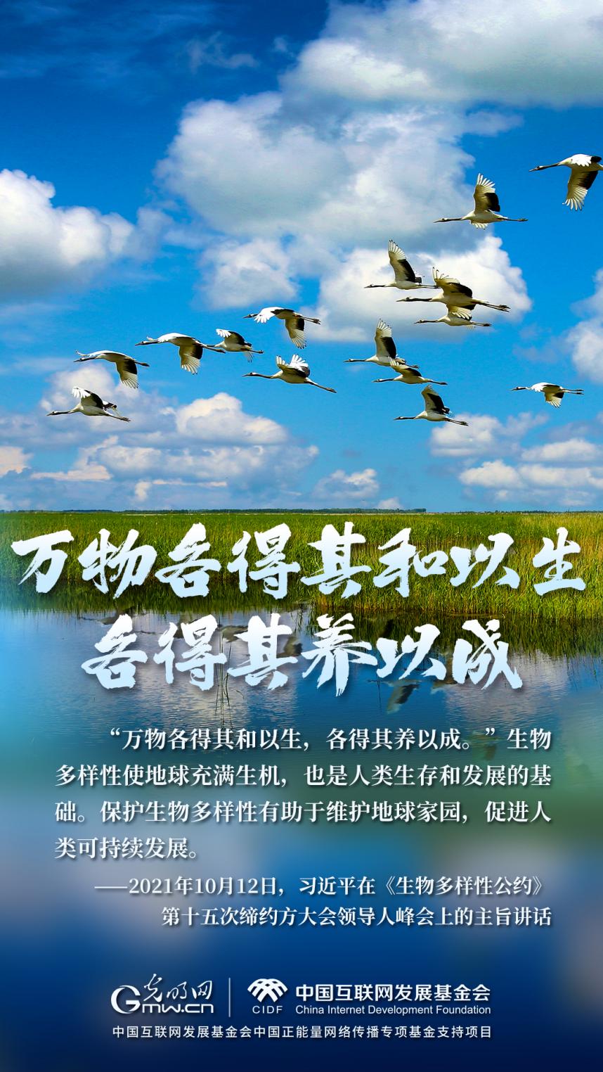 “兩山”理念與美麗中國(guó)丨濕地與候鳥，一場(chǎng)歲歲年年的相守