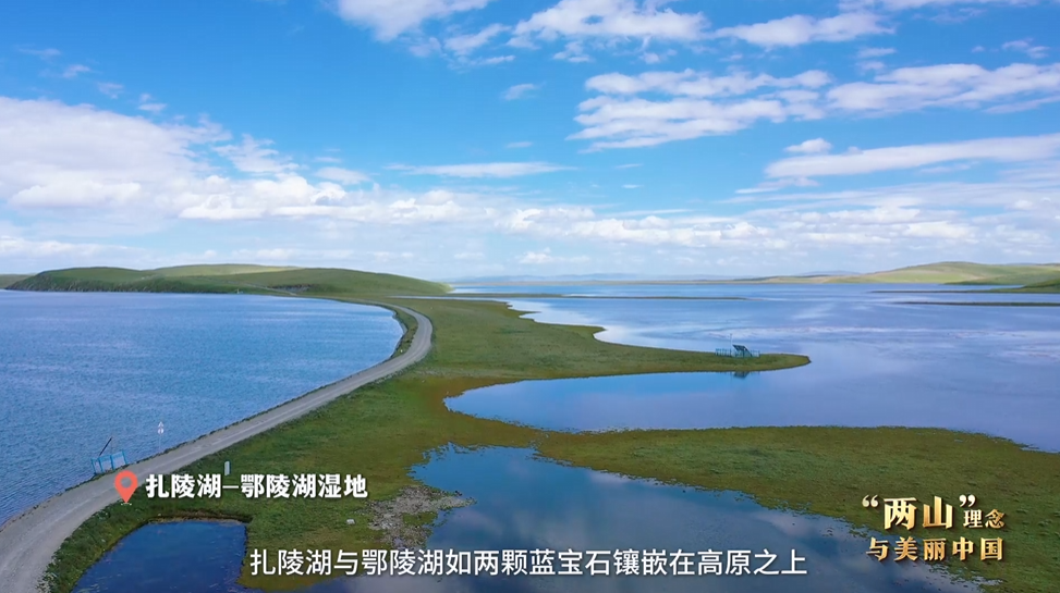 “兩山”理念與美麗中國(guó)丨濕地與候鳥，一場(chǎng)歲歲年年的相守