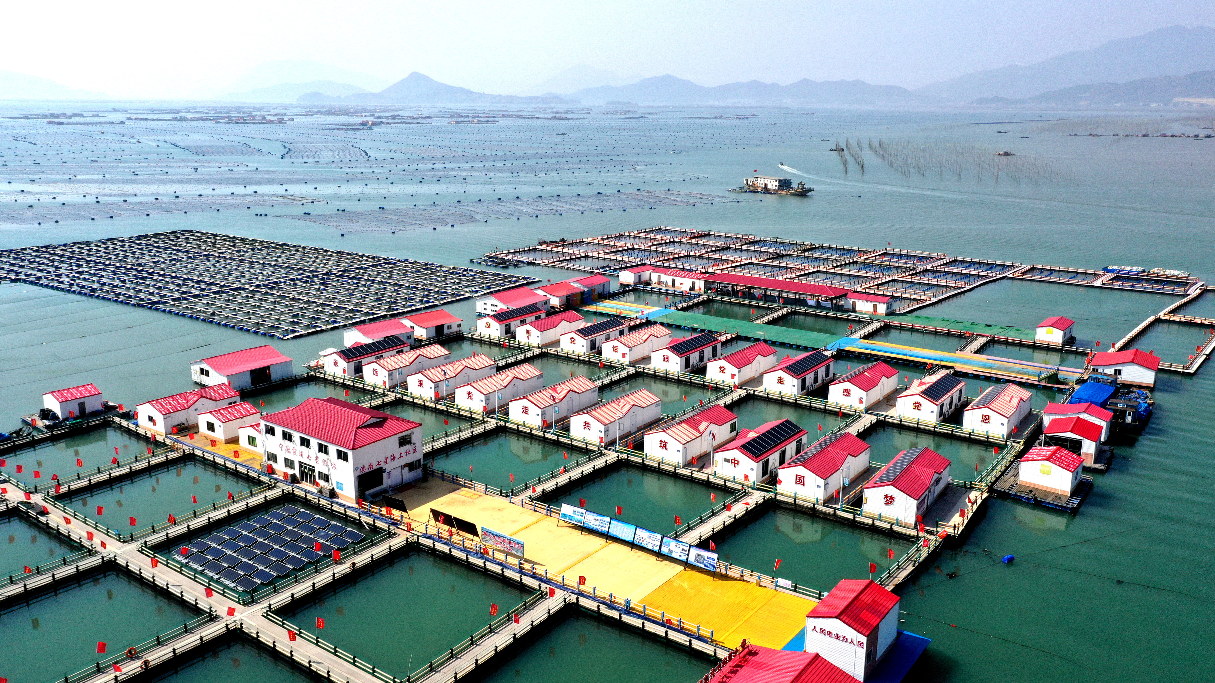 2024年3月20日，福建省寧德市，霞浦縣溪南鎮(zhèn)七星村漁排養(yǎng)殖示范區(qū)，漁民駕駛養(yǎng)殖船進行海參養(yǎng)殖作業(yè)。