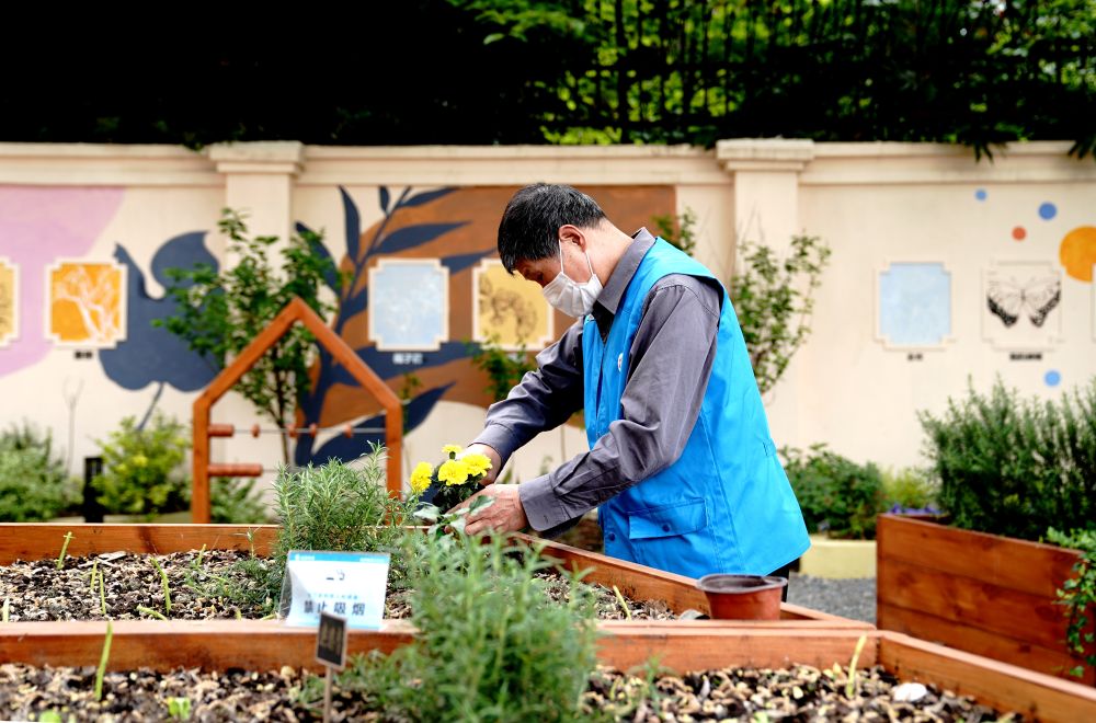 上海市長寧區(qū)虹旭小區(qū)居民在整理改造社區(qū)花園。居民們把堆肥箱里發(fā)酵出來的“綠色材料”和土壤拌在一起鋪在種植箱中（2020年4月22日攝）。新華社記者 張建松 攝