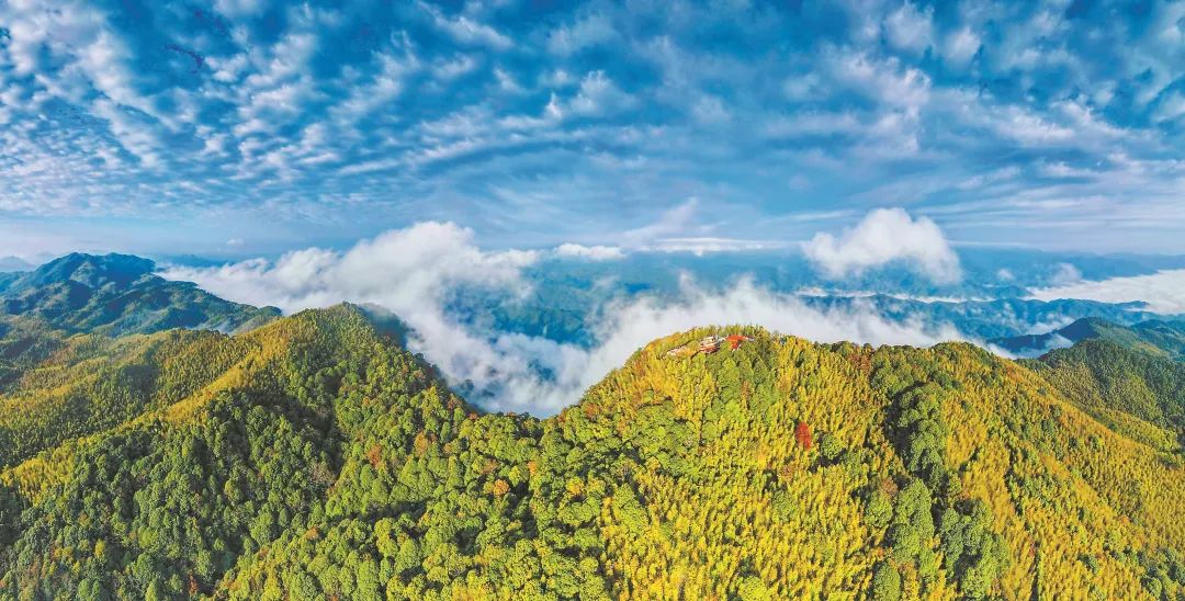 　三明森林生態(tài)環(huán)境優(yōu)美。