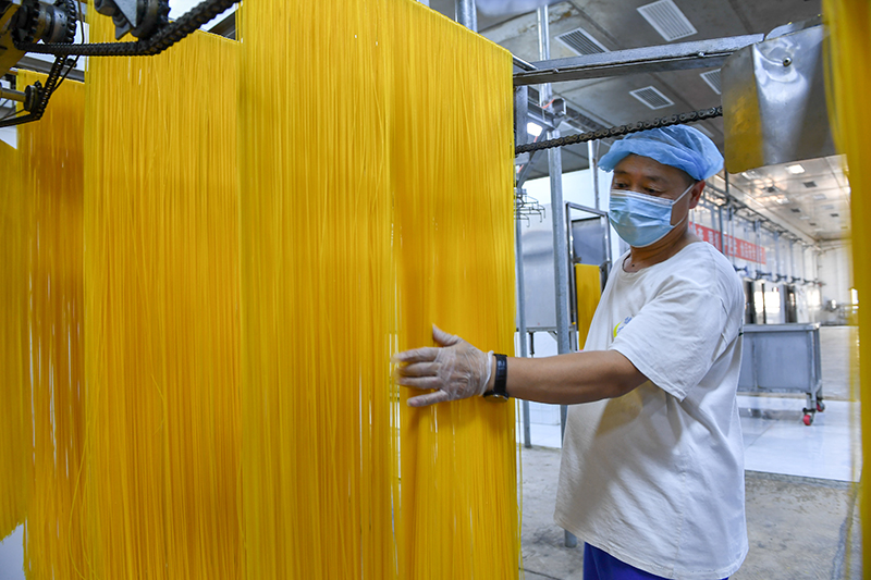 2024年1月25日，在吉林省公主嶺市的一家公司車間，工人查看玉米面條生產(chǎn)情況。