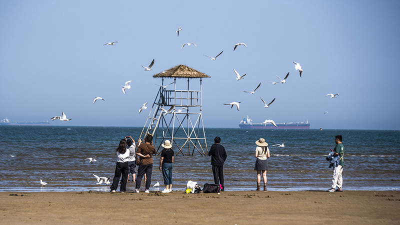 2024年5月12日，河北秦皇島，北戴河鴿子窩公園成群海鷗在天空中自由翱翔，與大海、藍(lán)天構(gòu)成了一幅美麗的畫(huà)卷。