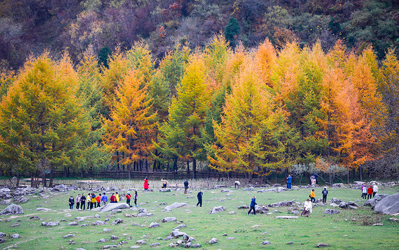 2023年10月27日，深秋時(shí)節(jié)的陜西秦嶺太子嶺漫山紅黃、色彩交織，進(jìn)入最佳觀賞期。