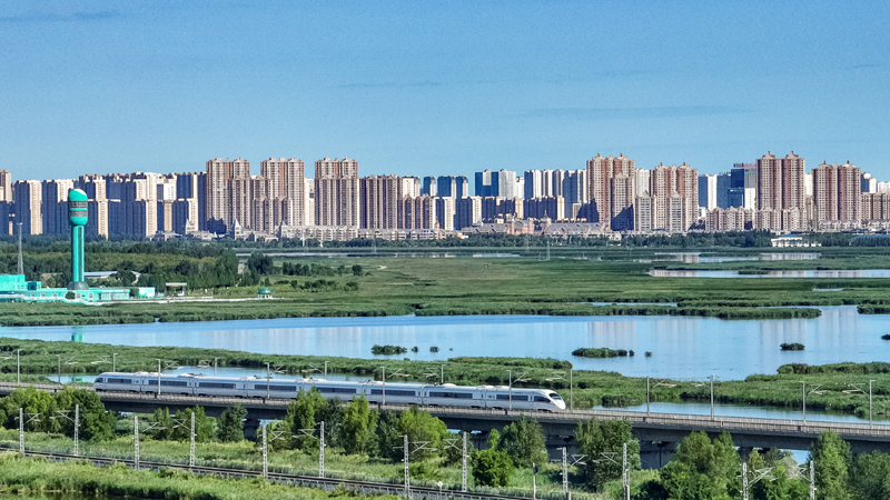 2025年8月17日，一列動車組列車駛過大慶東站。