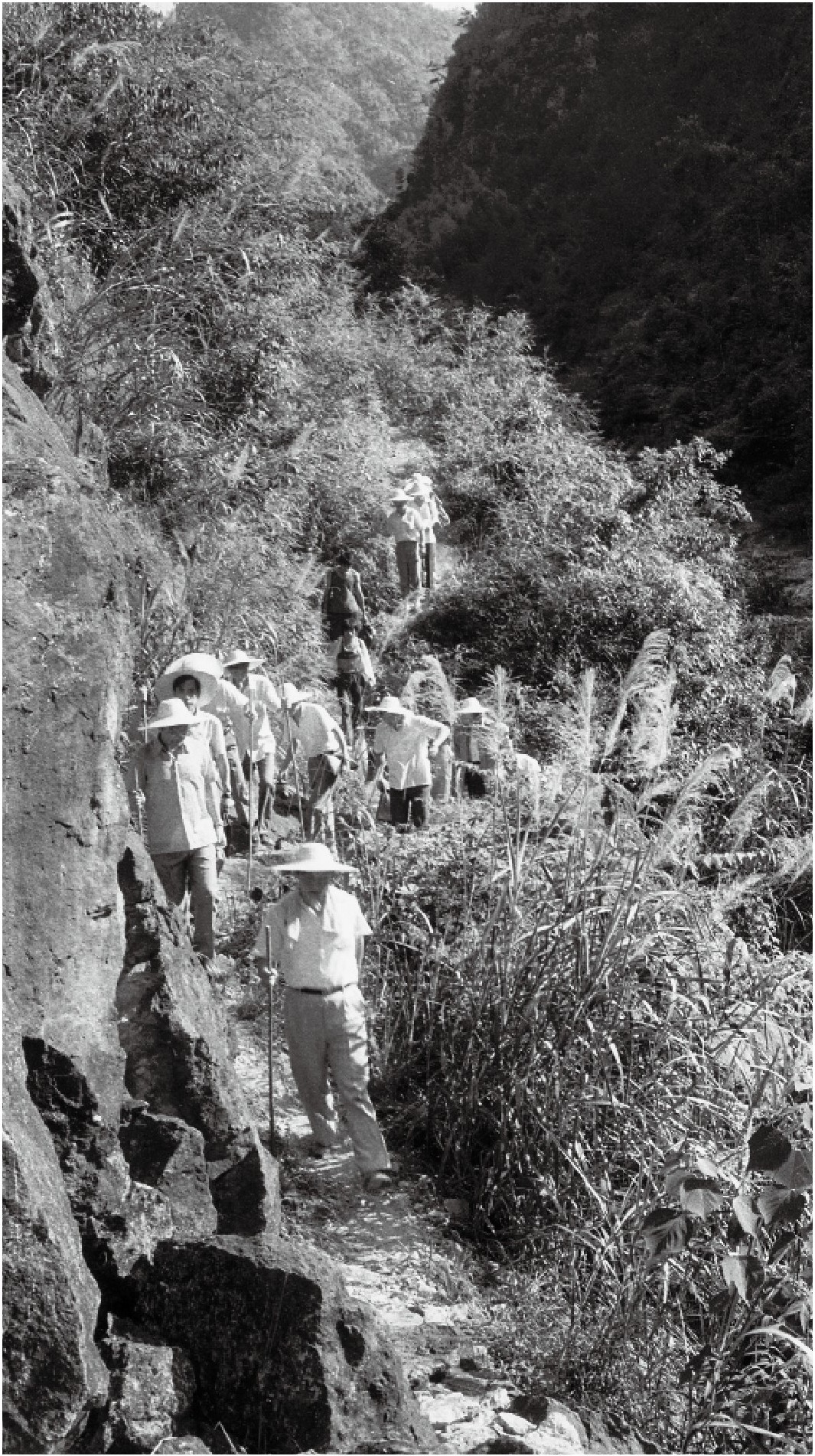 1989年7月，習(xí)近平一行到壽寧縣下黨鄉(xiāng)調(diào)研。