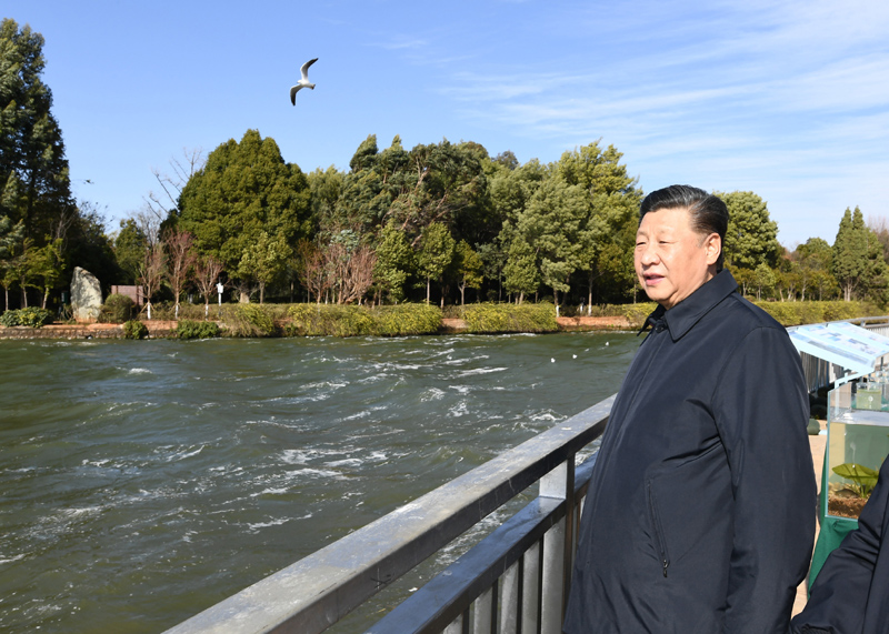 2020年1月20日下午，習(xí)近平總書記在云南昆明滇池星海半島生態(tài)濕地考察調(diào)研。