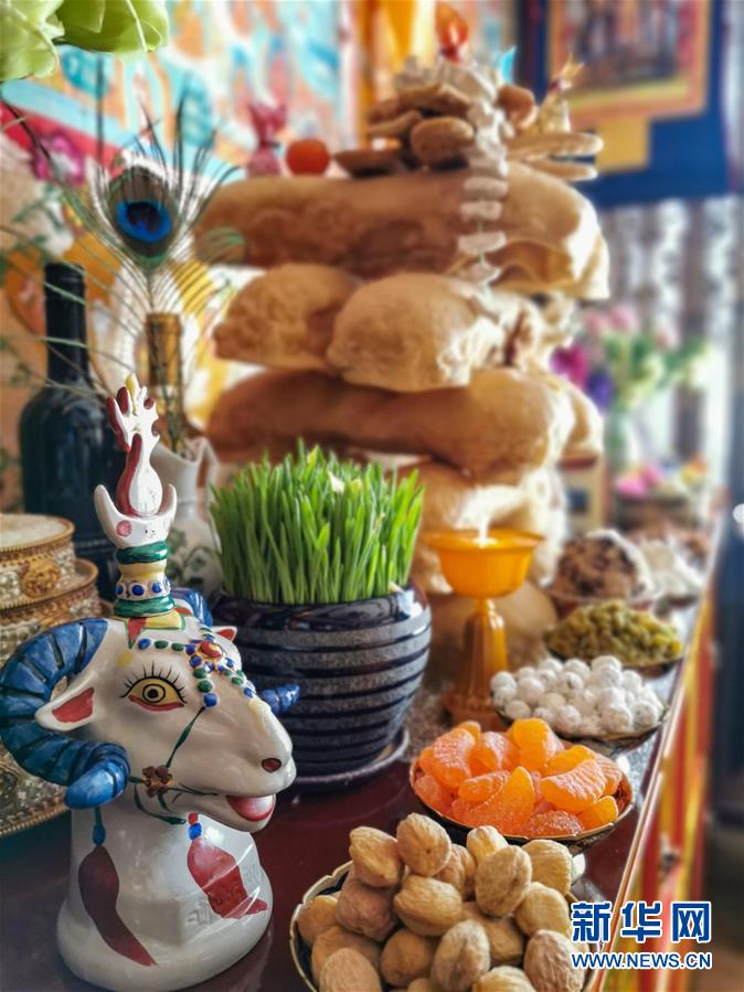 (社會(huì))(6)西藏各地歡度藏歷新年