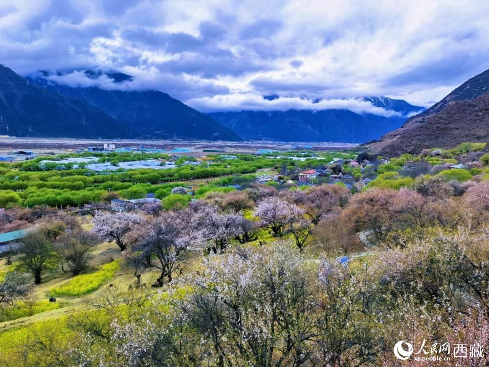 桃花從中的“童話小鎮(zhèn)”。人民網(wǎng) 李海霞攝