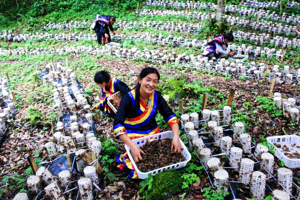 喜獲豐收展笑顏。次仁央宗攝