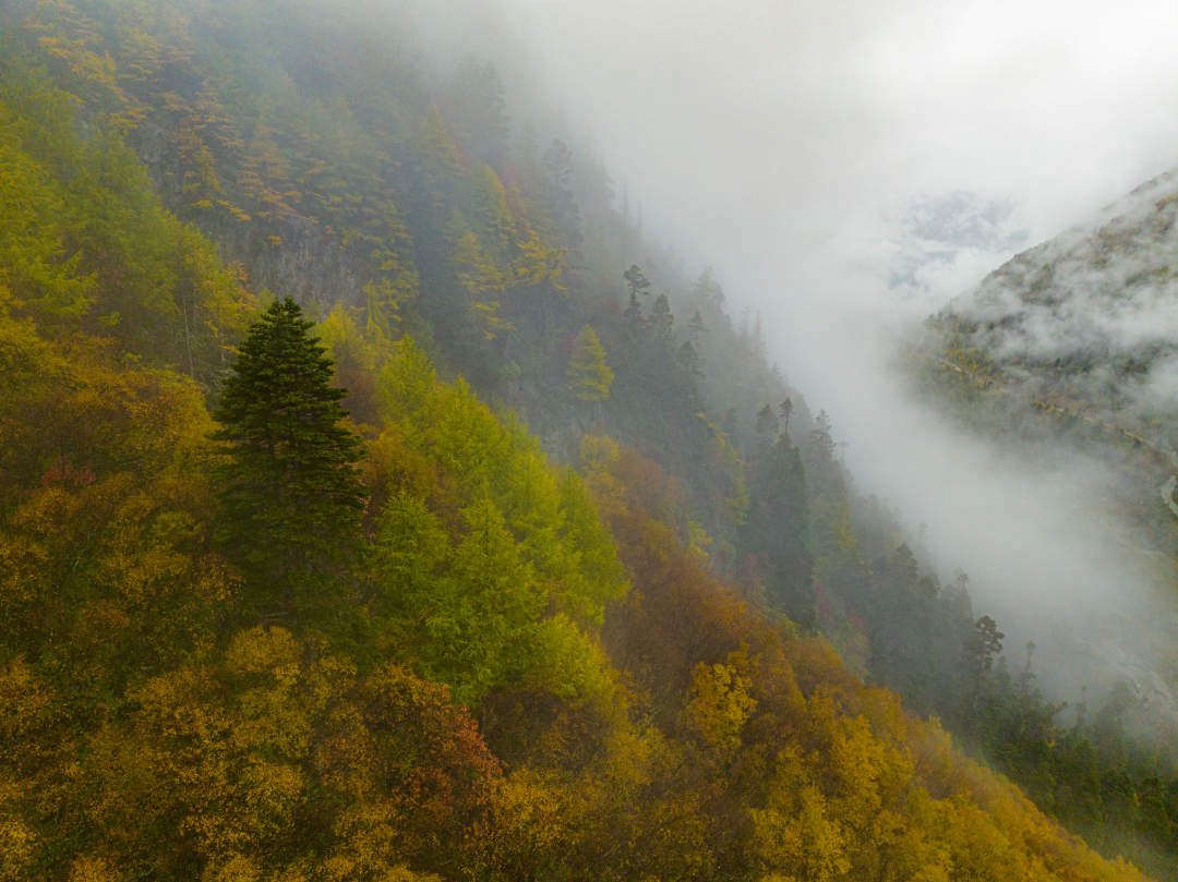 云纏霧繞，層林盡染。